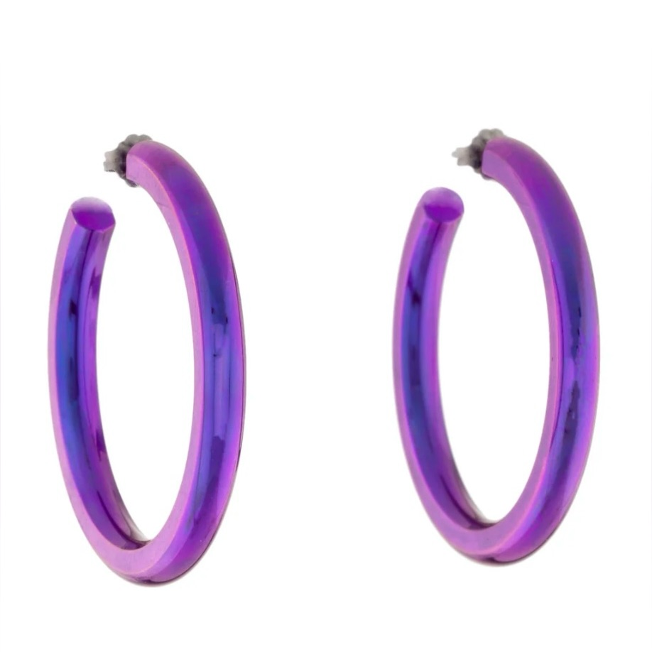 Nib Stephanie Gottlieb Electric Hoops In Purple